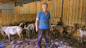 Κούρος γιδιών | Η ζωή στα βουνά του Βάλτου (βίντεο)