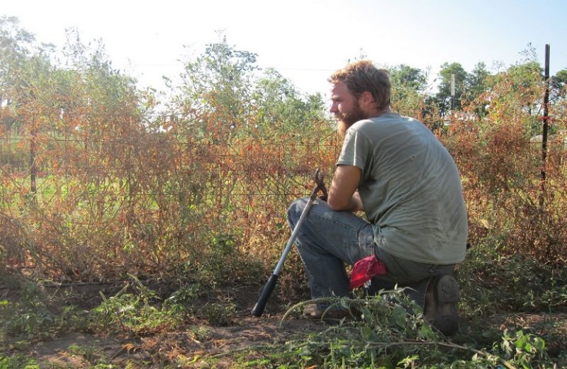 Νέοι Αγρότες: Άμεσα η πληρωμή στους εν δυνάμει-Τι θα γίνει με τους επιλαχόντες