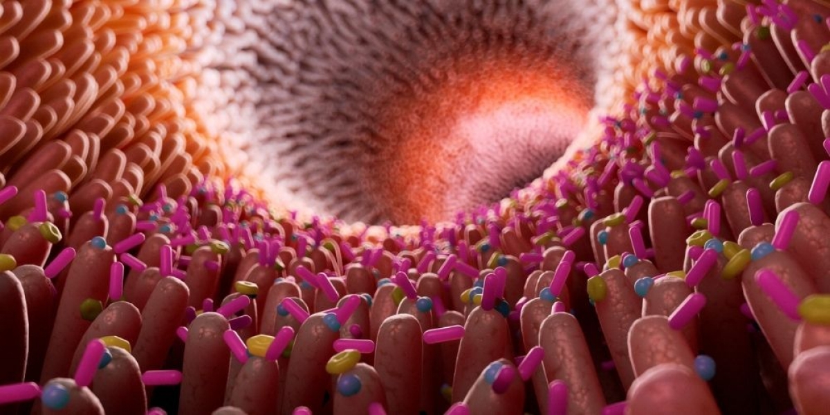 Διαβήτης &amp; Εντερικό Μικροβίωμα