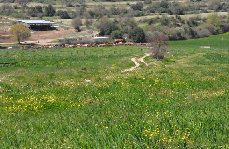 Πληρωμή 1,5 εκατ. ευρώ σε 437 δικαιούχους