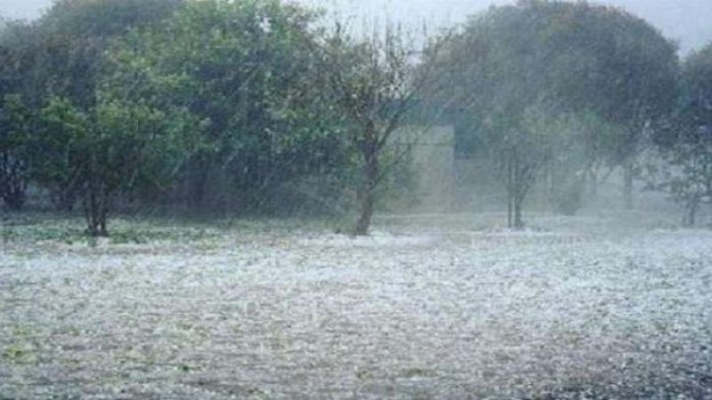 Δήμος Ι.Π. Μεσολογγίου: Δηλώσεις ζημιών στην παραγωγή από τα έντονα καιρικά φαινόμενα