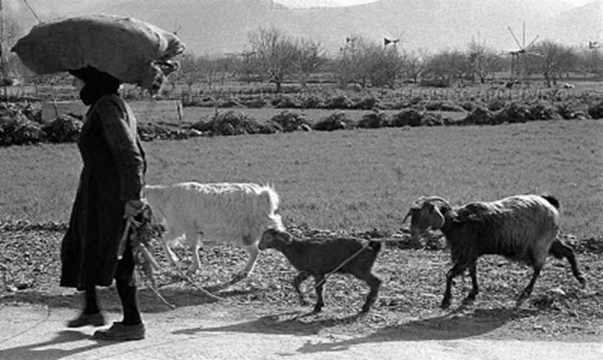 Η Ξηρομερίτισσα γυναίκα στην Αγροτική Κοινωνία…