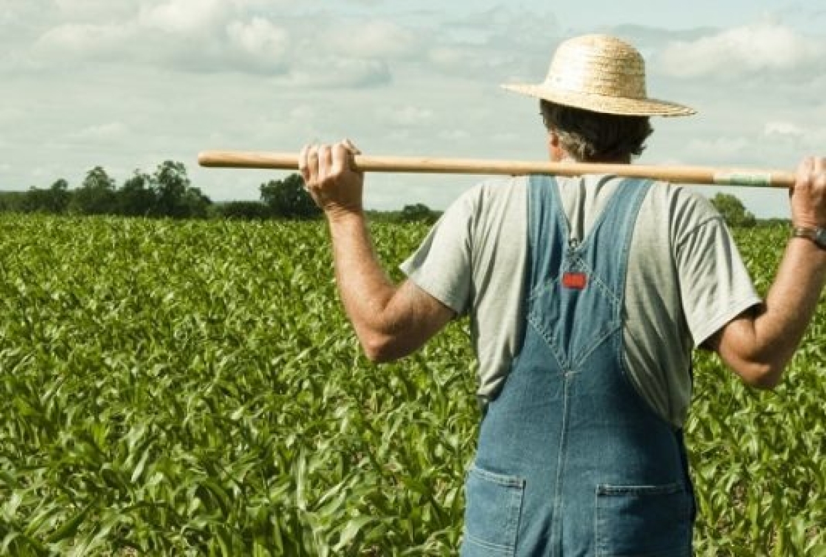 Η εγκατάλειψη της ελληνικής γης