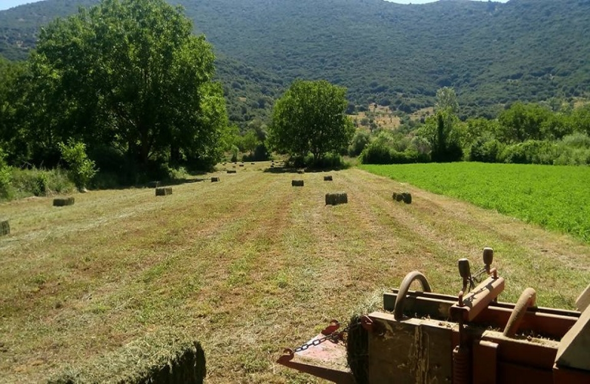 16 πολιτικές παρεμβάσεις για τους αγρότες