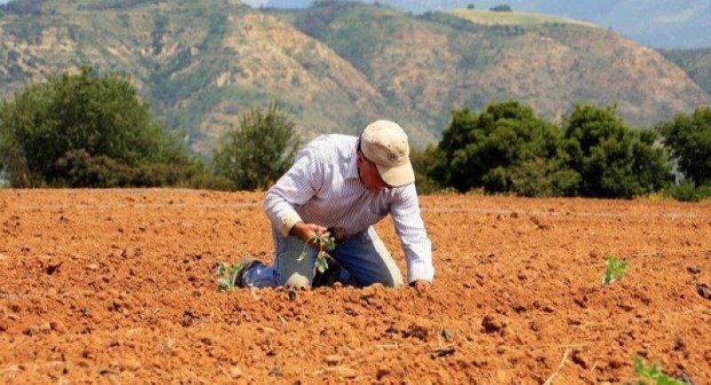 17.000 – 22.000 ευρώ σε νέους που θέλουν να γίνουν αγρότες