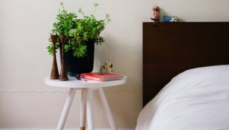 Με αυτά τα φυτά στο δωμάτιο θα κοιμηθείτε σαν &quot;πουλάκια&quot;