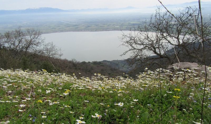 Ανοιξιάτικα τοπία της περιοχής μας με τον φακό της Ανθής Γεωργίου – Ντάφα