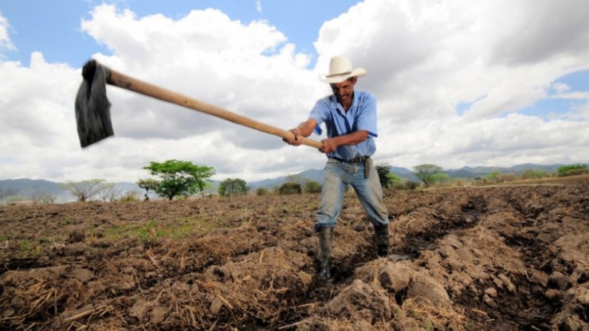 ΑΓΡΟΤΗΣ: Νοικοκύρης ή επιδοτούμενος ημι-αστός?