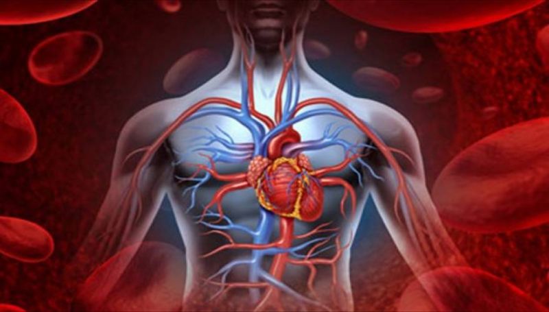 Πώς να κάνετε το σώμα σας αλκαλικό και να καταπολεμήσετε τις ασθένειες!- Τι πρέπει να τρώτε (βίντεο)