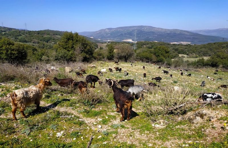 Εξελίξεις με την Εξισωτική του 2013 και του 2014