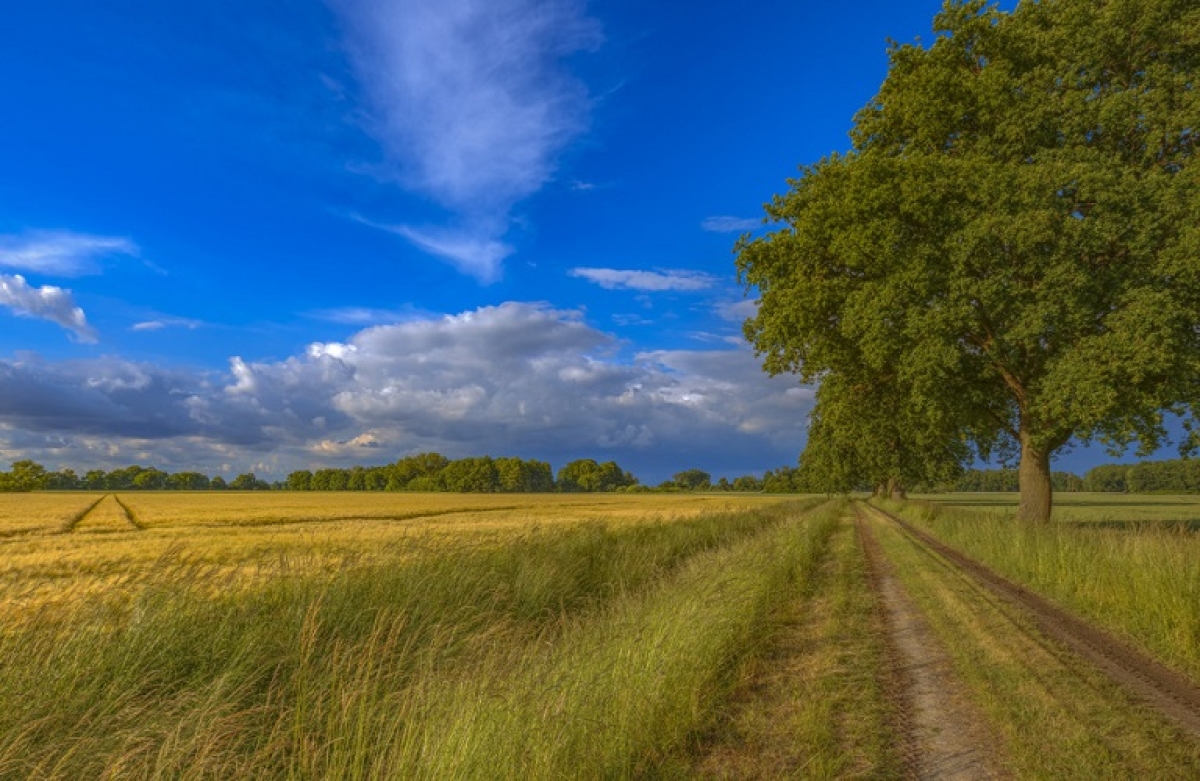 Με ελληνική πρωτοβουλία συγκαλείται το συμβούλιο υπουργών Γεωργίας του Νότου