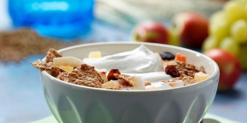 Φυτικές ίνες