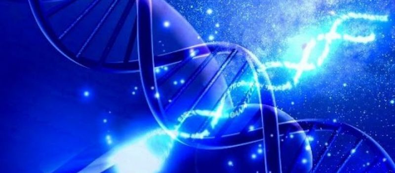 «Ιχώρ»: Το DNA των Ελλήνων; - Τι ξεχωριστό έχει;