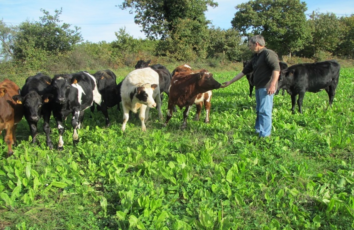 Την Tετάρτη 21 Δεκεμβρίου 2022 πληρώνονται οι αγροτικές συντάξεις