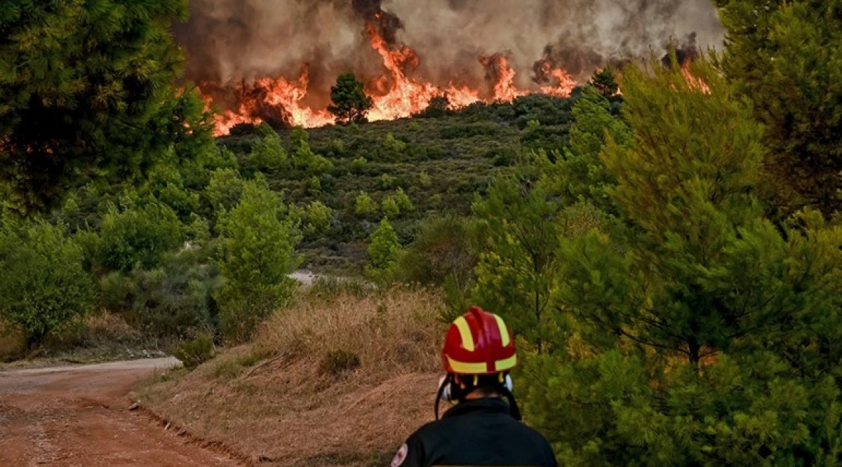 Τραπεζιώτης: Οι φωτιές σβήνουν τον χειμώνα και όχι το καλοκαίρι