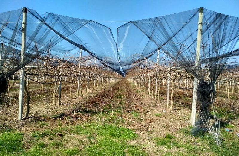 14χίλιαρο: Μέχρι Τρίτη 2 Ιουλίου οι αιτήσεις