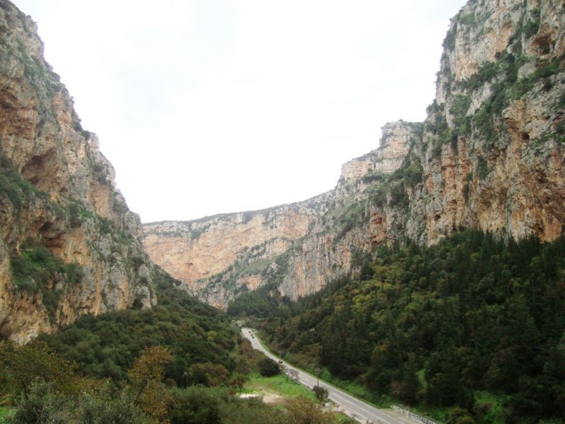 Προτάσεις καταθέτει η «Ανατροπή Τώρα» για τον Αράκυνθο, τα Στενά της Κλεισούρας και τους γύπες