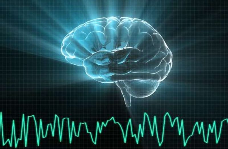 Οι ήχοι που συντονίζουν τον εγκέφαλο