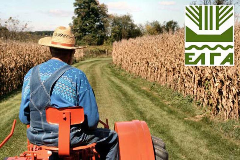 ΕΛΓΑ: Σήμερα οι αποζημιώσεις σε 65.653 αγρότες και κτηνοτρόφους