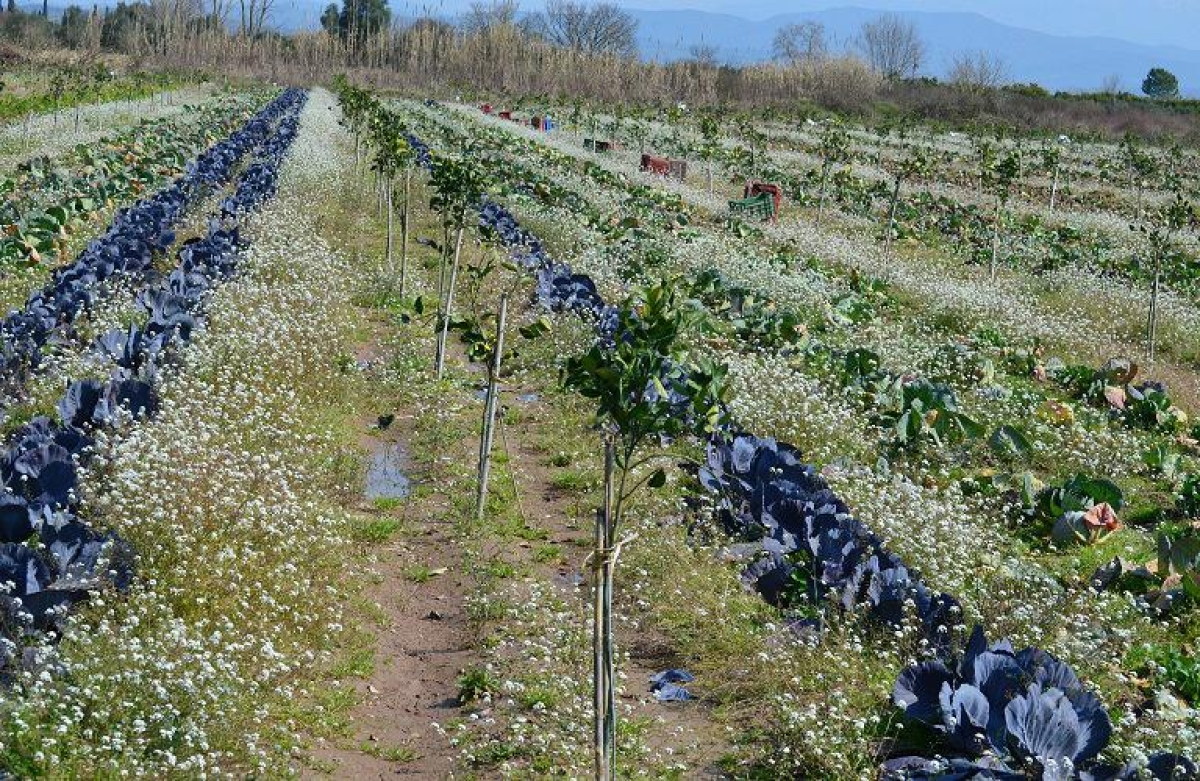 Όποιος ελέγχει τα τρόφιμα, ...ελέγχει τον κόσμο!