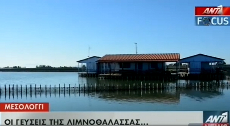 “Aφιέρωμα του AΝΤ1 στη λιμνοθάλασσα του Μεσολογγίου”