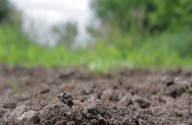 Κι όμως: Παράγει!!!