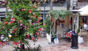 Στολίστηκε το δένδρο της Αγάπης στην πλατεία Παναγοπούλου (Συντριβάνι) στο Αγρίνιο