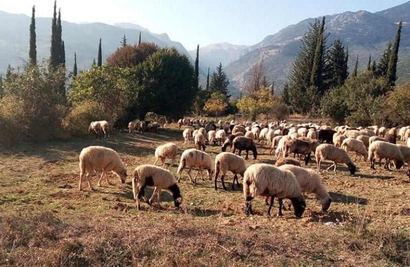 Εξισωτική Αποζημίωση: η τελική κατάταξη