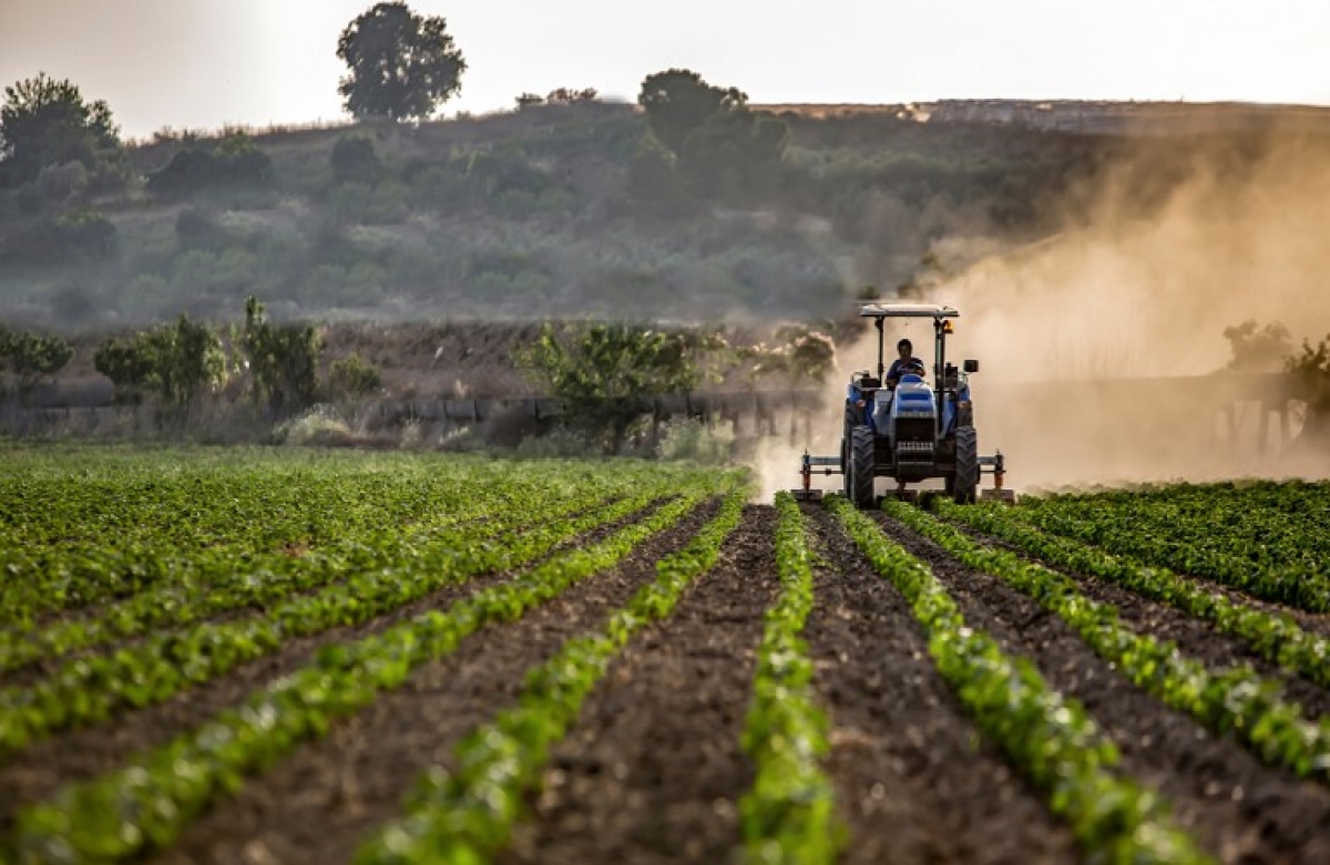 Αγροδιατροφή: 10 τρισεκατομμύρια δολάρια το παγκόσμιο κρυφό κόστος