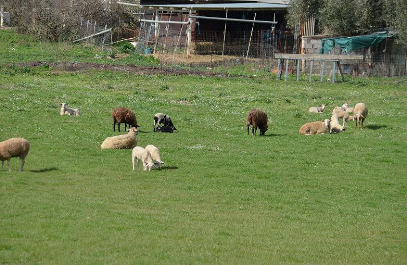 Πληρωμές, κουτσομπολιά και μια πρόταση-πρό(σ)κληση