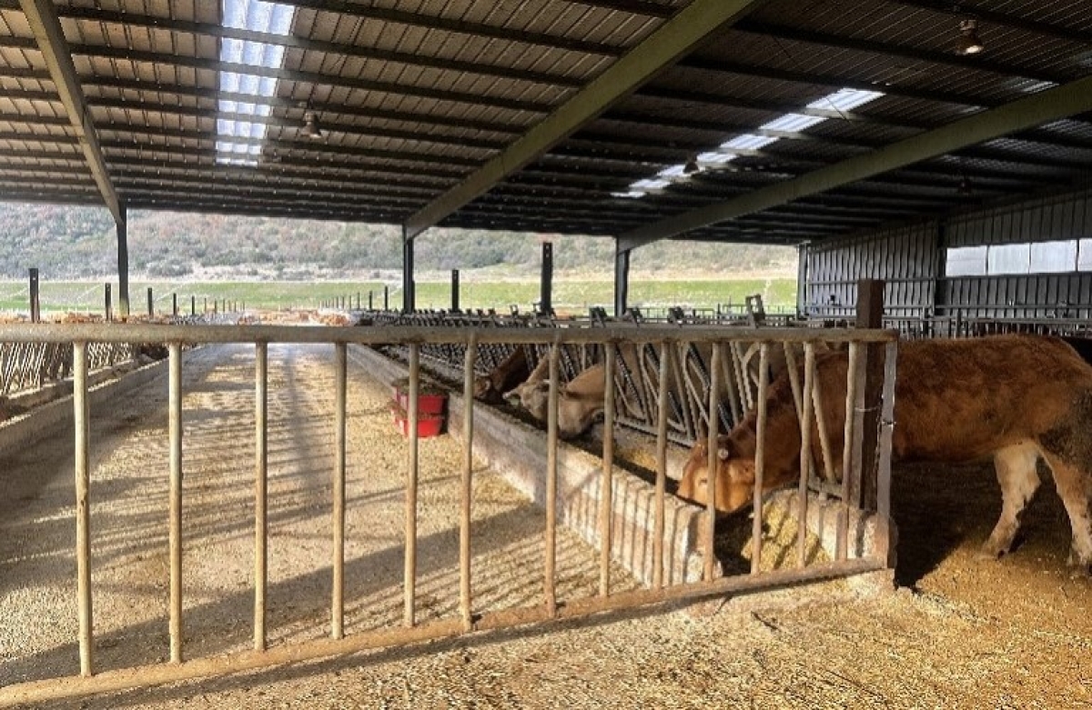 Αγροτικές εκμεταλλεύσεις: τι χρειάζεται για την ηλεκτροδότηση