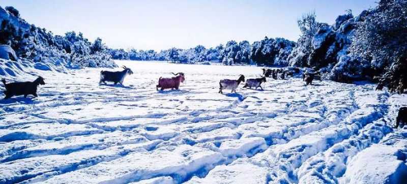 Αλπικό τοπίο στην κοιλάδα του Αχελώου -Εκπληκτικές εικόνες