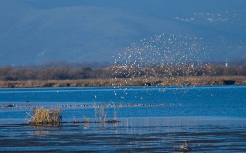 Πρόταση για αναπτυξιακό πρόγραμμα στον Αμβρακικό