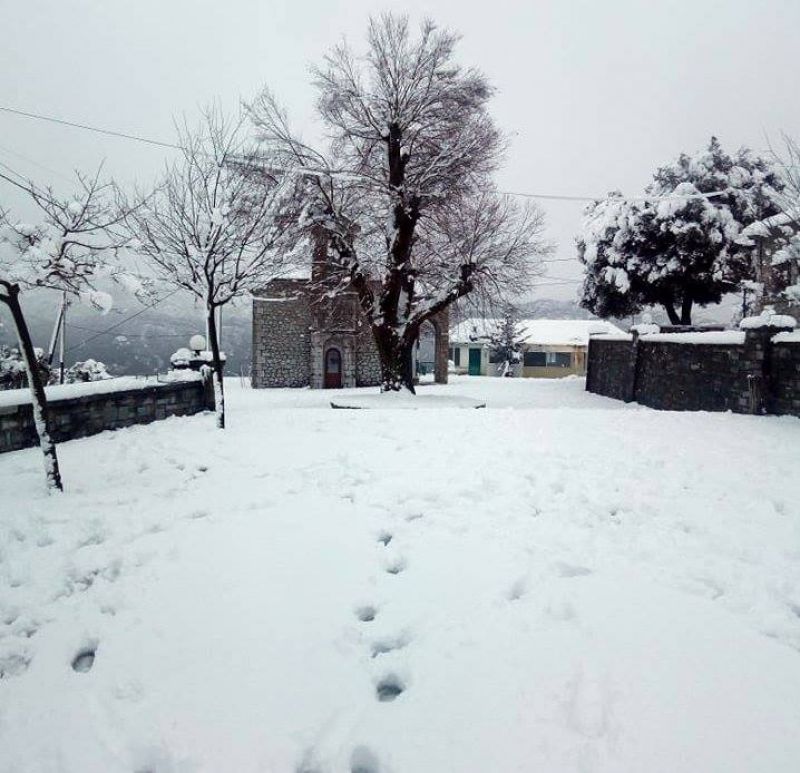 Εντυπωσιακό το λευκό σκηνικό σε Βρουβιανά και Αυλάκι Ορεινού Βάλτου (φωτό)