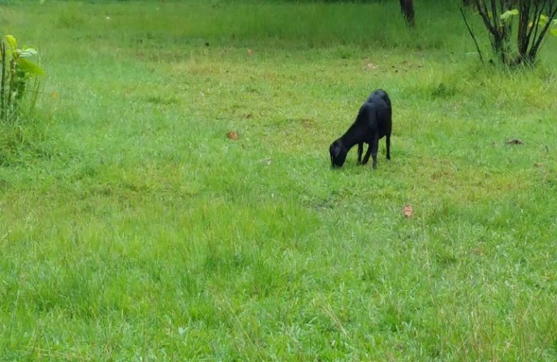 Νέα παράταση για την υποβολή των σχεδίων βελτίωσης