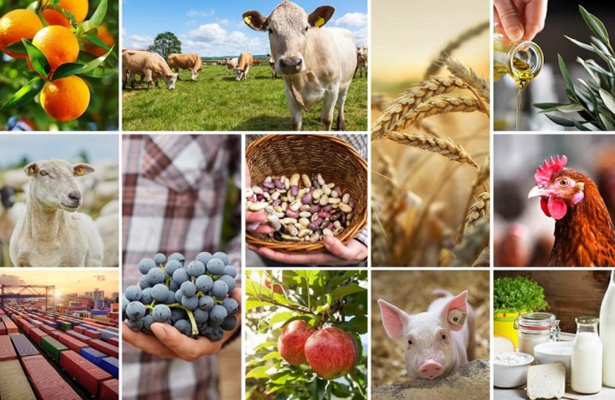Τι προβλέπεται για τα βασικά αγροκτηνοτροφικά προϊόντα
