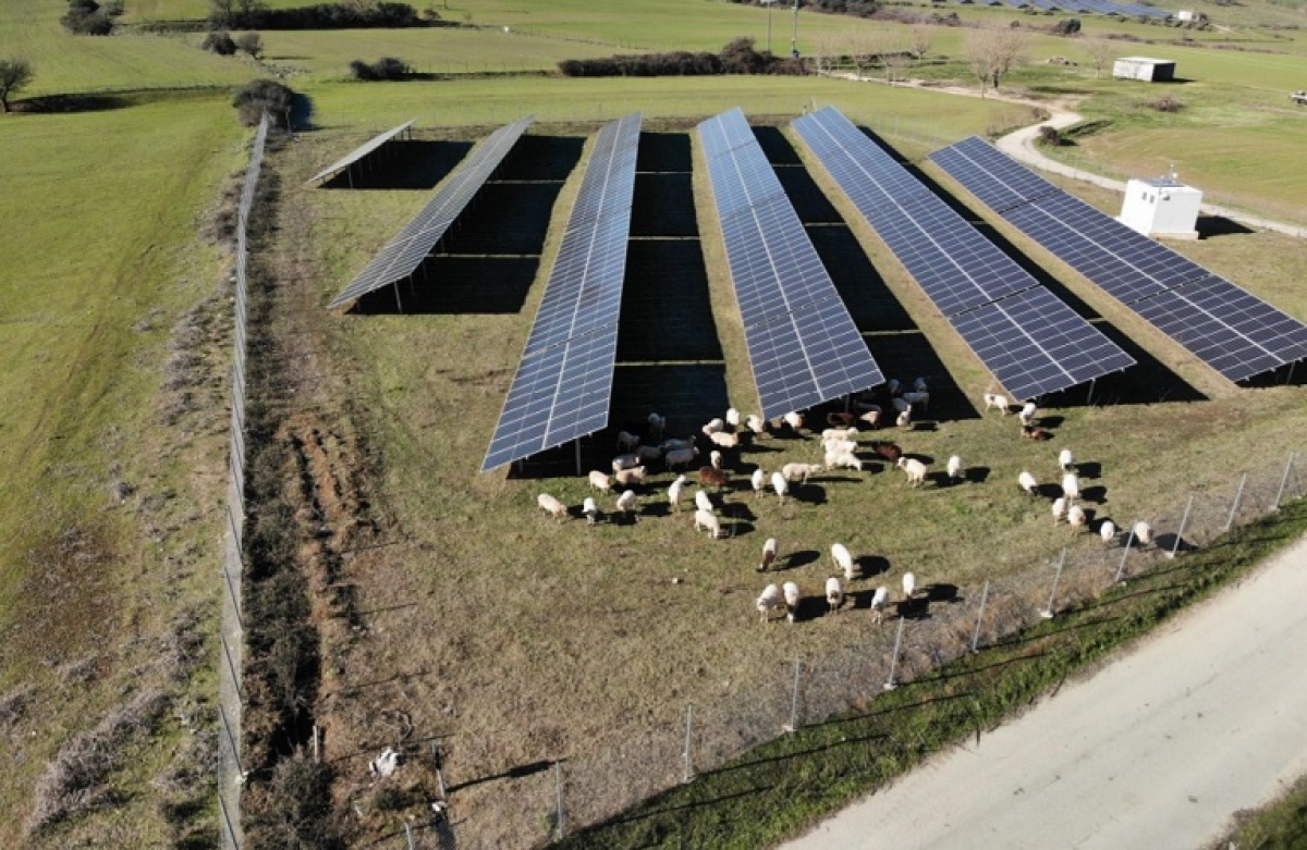 Τι ισχύει για τις εισφορές σε ΕΛΓΑ για όσους επιδοτούνται για φωτοβολταϊκά