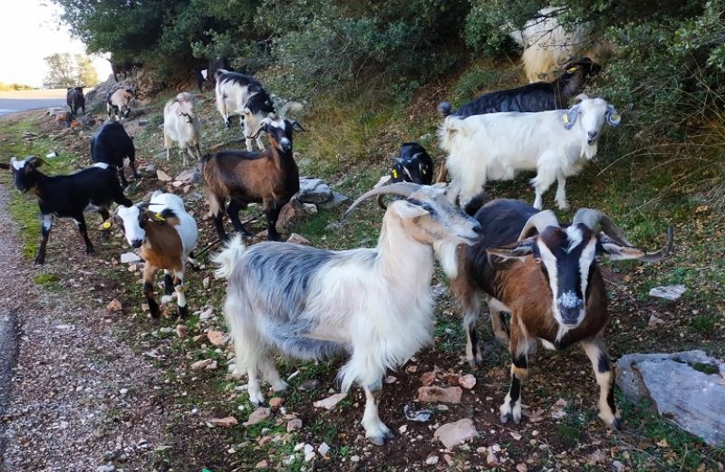 Ξεκίνησαν οι ενστάσεις για την Εξισωτική Αποζημίωση