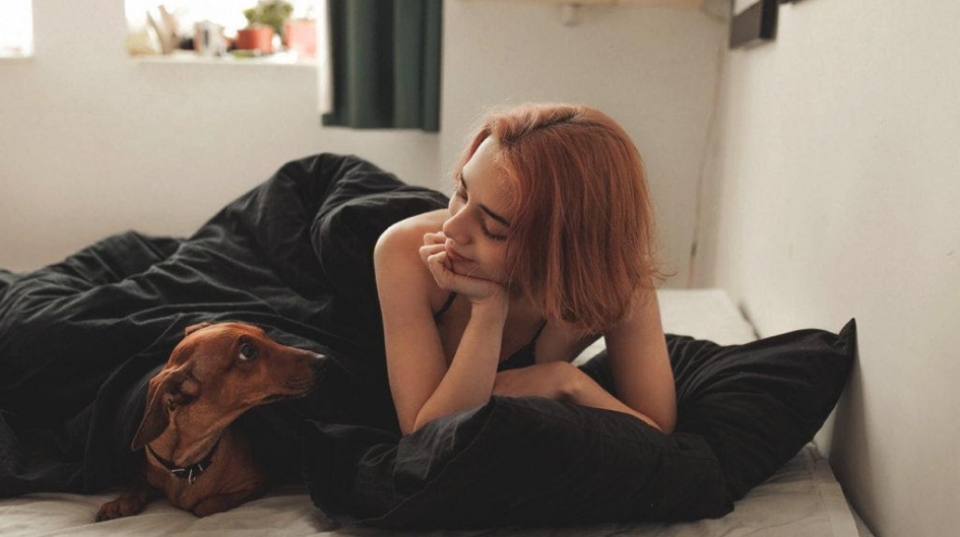 Οι καλύτερες σκυλοτροφές για ευτυχισμένα και χαρούμενα κατοικίδια