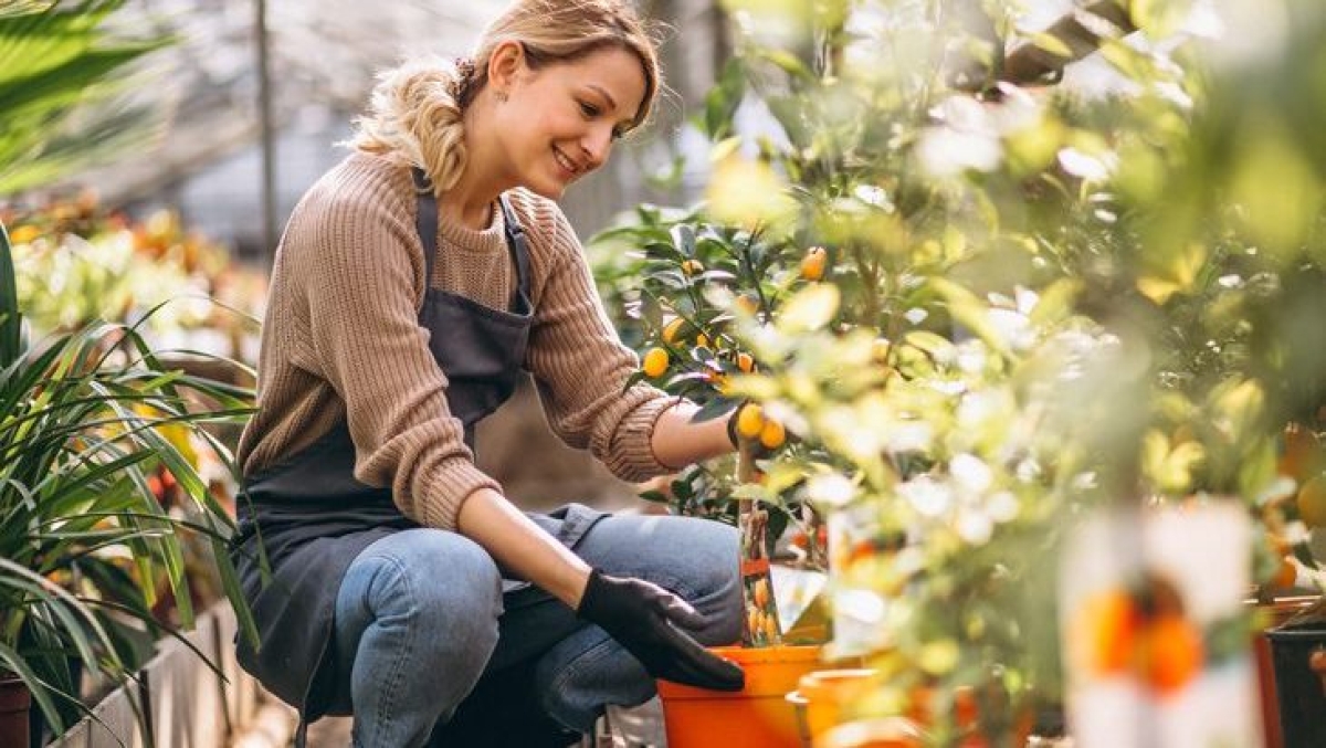 Για πρώτη φορά επίδομα μητρότητας της ΔΥΠΑ και σε αγρότισσες