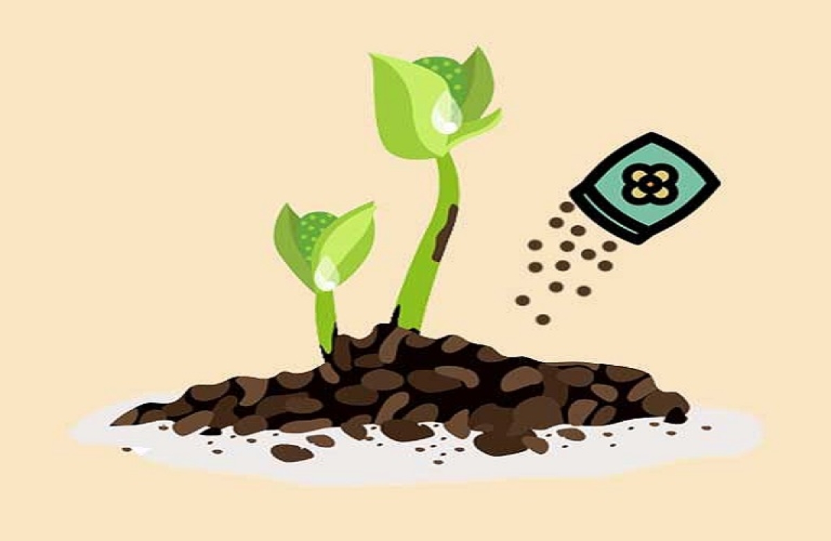 Οδηγίες συμπλήρωσης της αίτησης για την ενίσχυση στα λιπάσματα