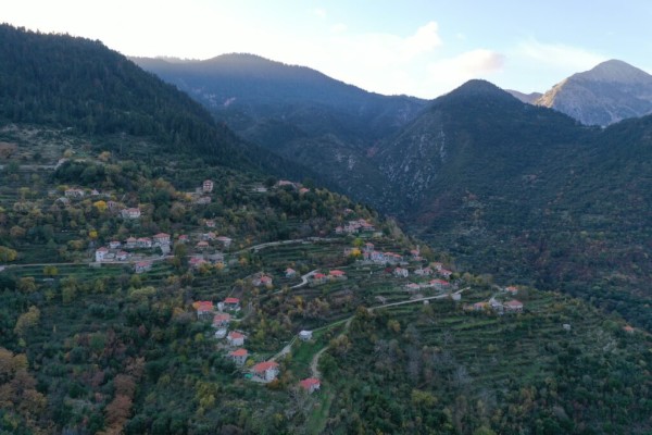 Πρόταση για την Ίδρυση Μουσείου Μουσικών Αμβρακιάς Θέρμου και Θερινού Μουσικού Σχολείου