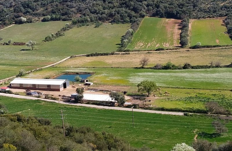 Διεπαγγελματικές Οργανώσεις: η απόφαση για τους όρους αναγνώρισης - λειτουργίας