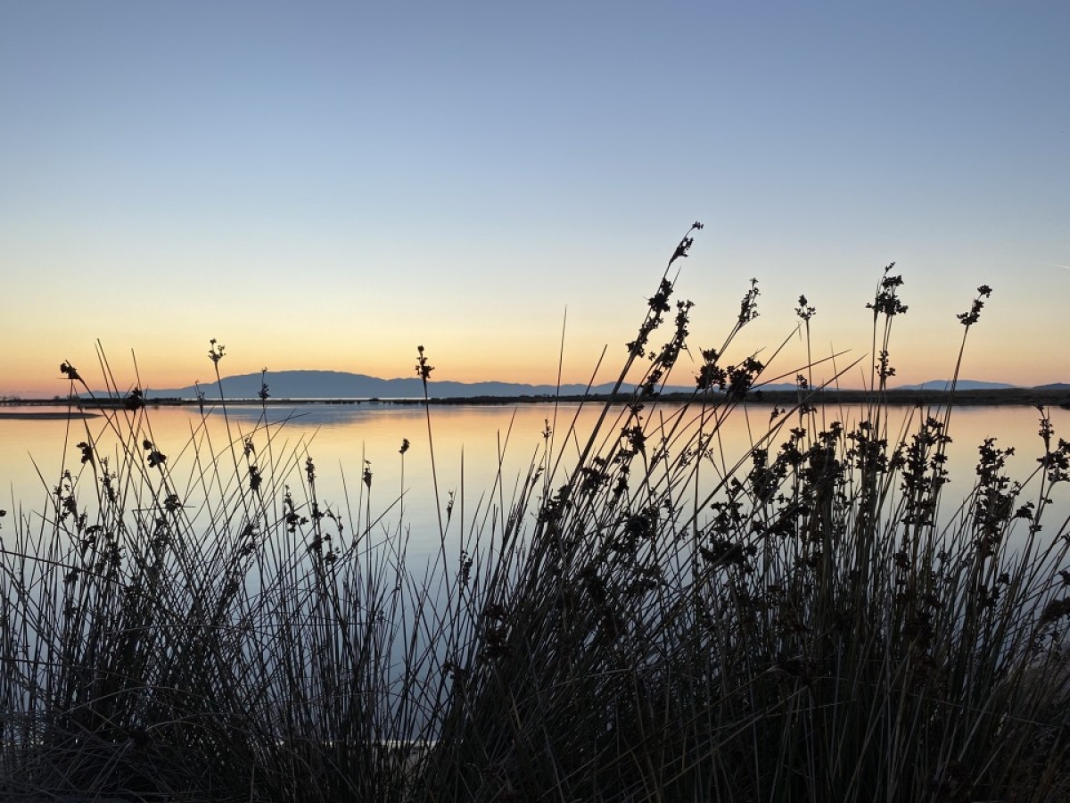 Εκδρομή στο «Πόρτο Σκρόφα» των Οινιαδών (φωτο)