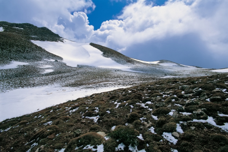 Η έκθεση του “Οικομουσείου” στη Ναύπακτο