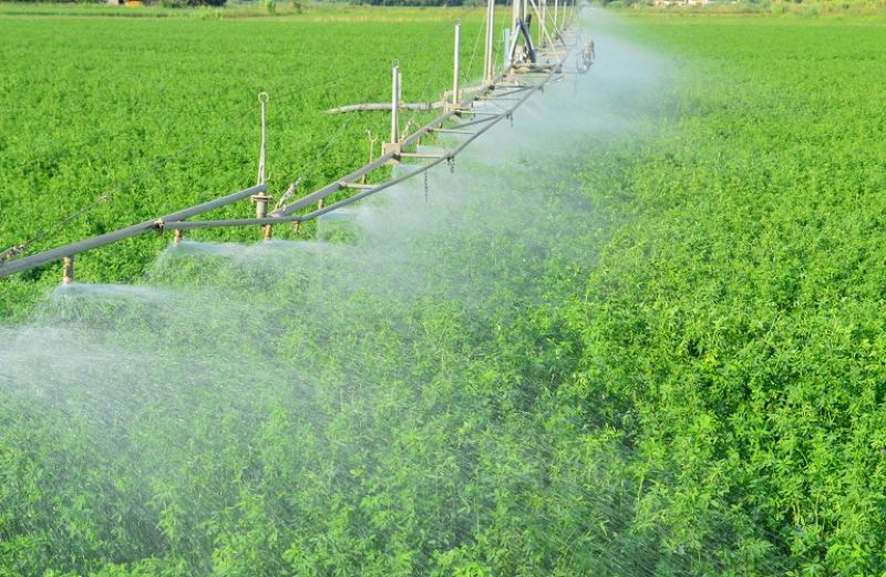 Ορθολογική χρήση νερού άρδευσης