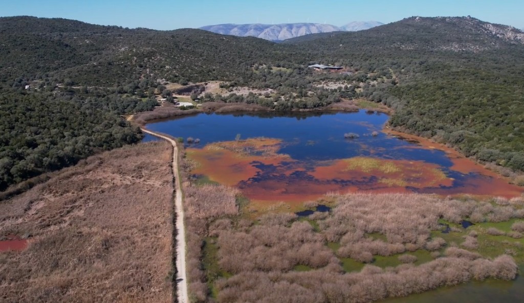 Το μυθικό Ομηρικό Δουλίχιο, μία κρυμμένη πολιτεία στην Κατοχή Οινιαδών (βίντεο)