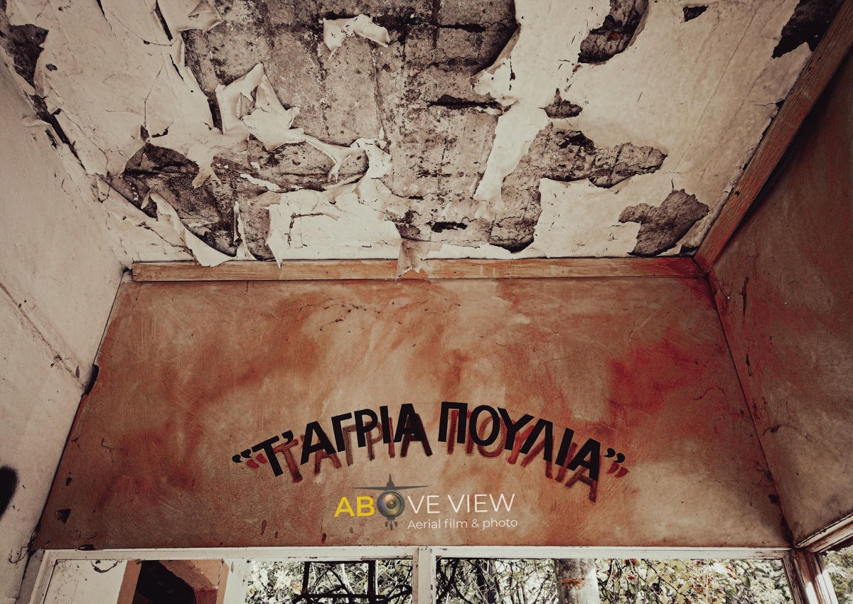 Βίντεο: θυμάστε τα «Άγρια Πουλιά» στο Αγρίνιο; Τότε και τώρα…