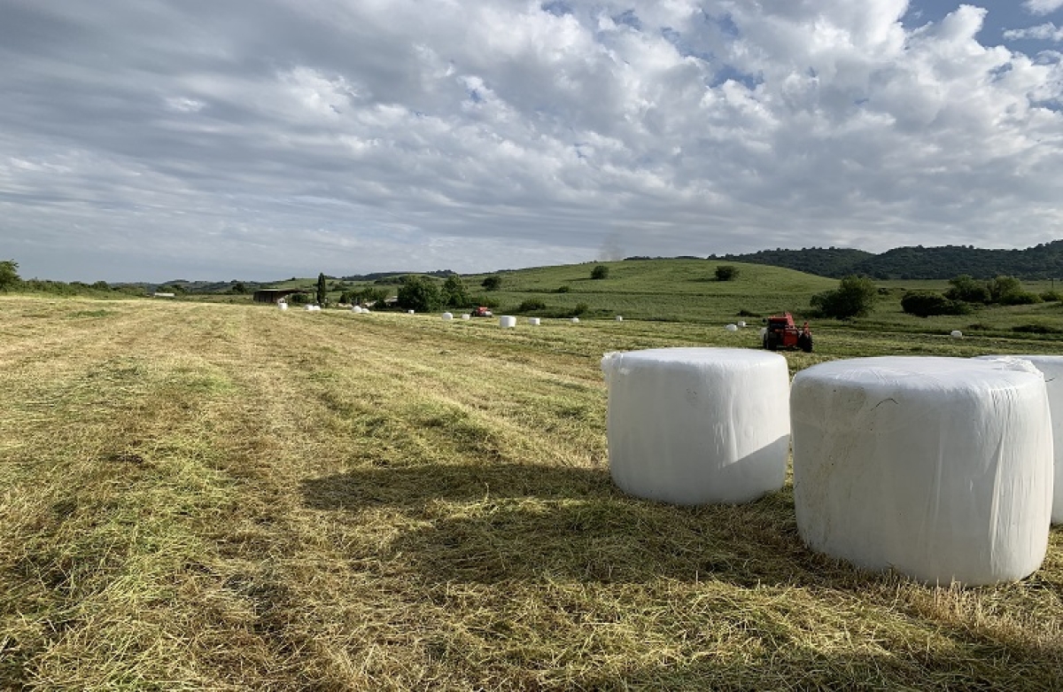 Νέα ΚΑΠ, με κοινωνικό πρόσωπο