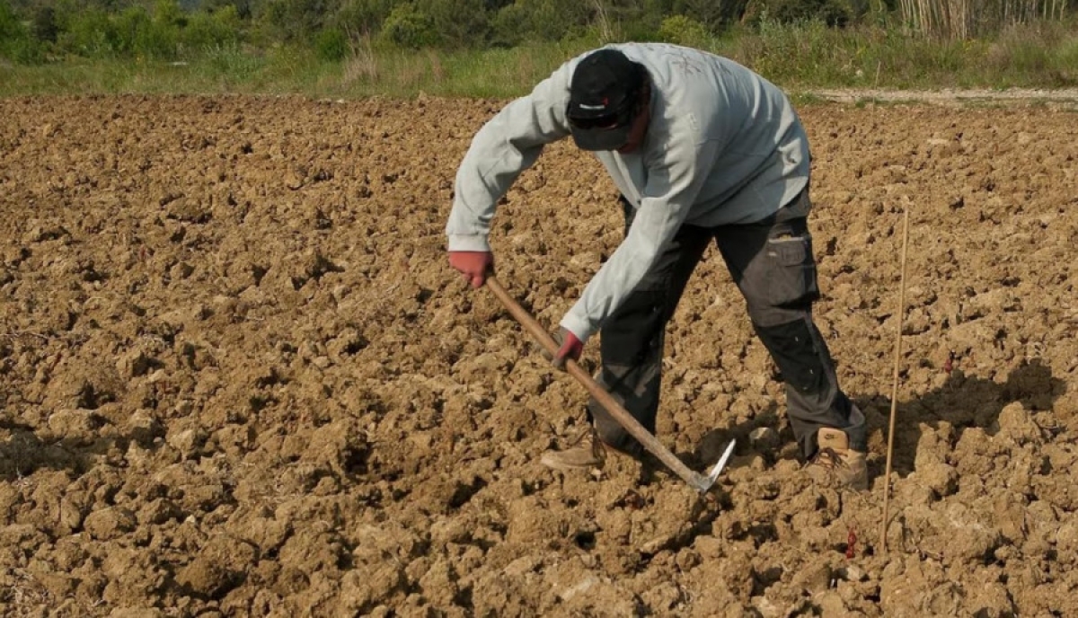 Αιτωλοακαρνανία – Δυτική Ελλάδα: «Όμηροι» της γραφειοκρατίας – Αργές διαδικασίες για τους εργάτες γης από τρίτες χώρες